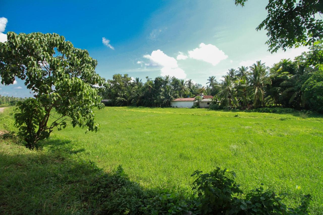 Airport Green View Resort Andiambalama 外观 照片